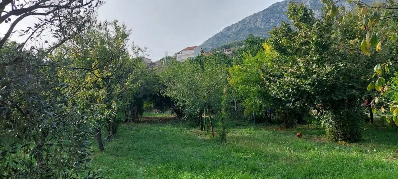 Prodaja, kuća, 500m², Bar, Crna Gora