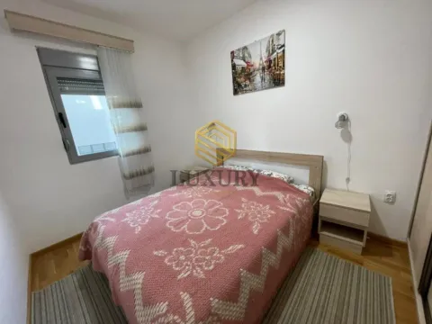 Izdavanje, jednosoban stan, 45m², Zabjelo, Podgorica - image 3