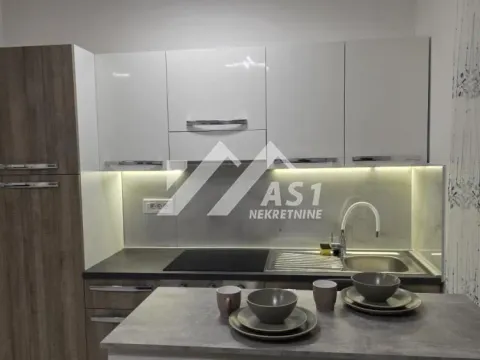 Rent, one bedroom apartment, 35m², Veternik, Novi Sad Sve Podlokacije - image 5