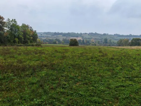 Prodaja, plac, 33900m², Velika Ivanča, Mladenovac - image 12