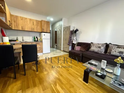 Izdavanje, garsonjera, 29m², Ljubović, Podgorica - image 2