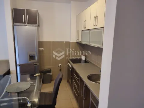 Rent, one bedroom apartment, 43m², Blok 9, Podgorica - image 4