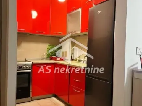 Izdavanje, stan, 41m², Čukarica, Beograd - image 5