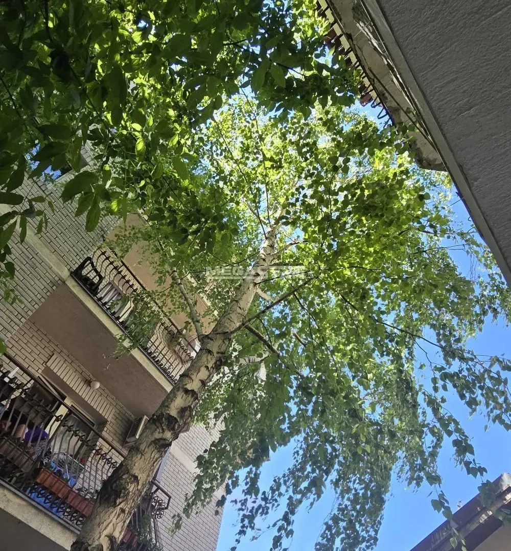 Prodaja, dvosoban stan, 59m², Čukarica, Beograd