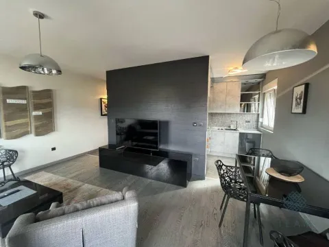 Izdavanje, jednosoban stan, 55m², City Kvart, Podgorica - image 3