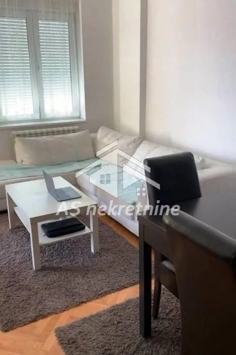 Izdavanje, dvosoban stan, 50m², Novi Beograd Blok 63, Novi Beograd Sve Podlokacije