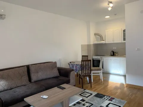 Izdavanje, jednosoban stan, 45m², City Kej, Podgorica - image 2