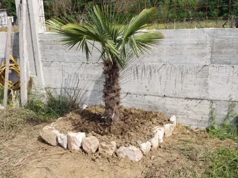 Prodaja, plac, 1000m², Bar, Crna Gora - image 6