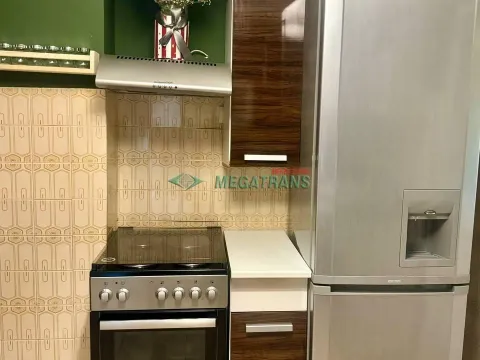 Izdavanje, dvosoban stan, 55m², Vračar Sve Podlokacije, Beograd - image 14