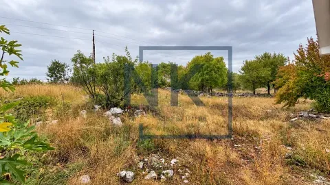 Pogled na prostrano zemljište sa rastinjem i drvećem. - image 4