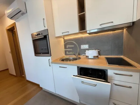 Rent, two bedroom apartment, 40m², Bulevar Evrope, Novi Sad Sve Podlokacije - image 8