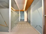 Rent, office space, 391m², Preko Morače, Podgorica - image 26