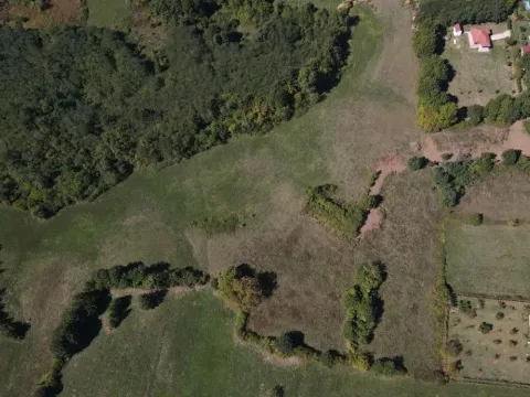 Prodaja, plac, 19450m², Danilovgrad, Crna Gora - image 6