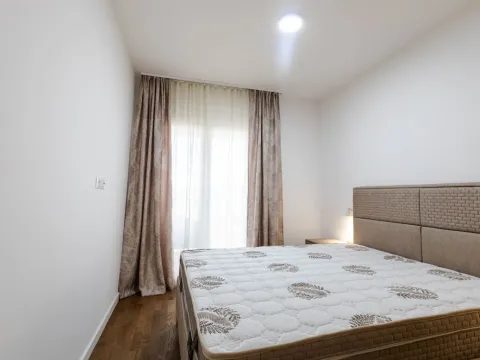 Izdavanje, jednosoban stan, 46m², Stari Aerodrom, Podgorica - image 5