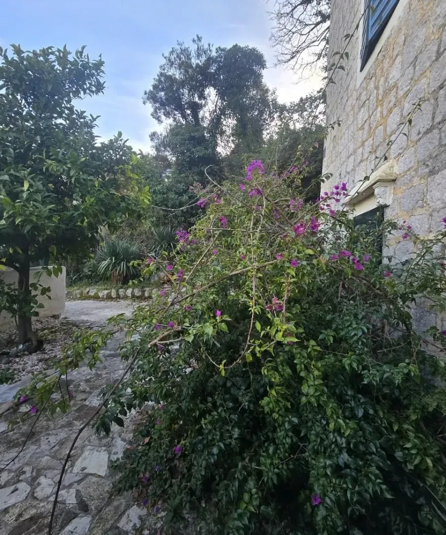 Prodaja, kuća, 185m², Jošica, Herceg Novi