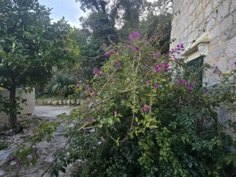 Prodaja, kuća, 185m², Jošica, Herceg Novi - image 8