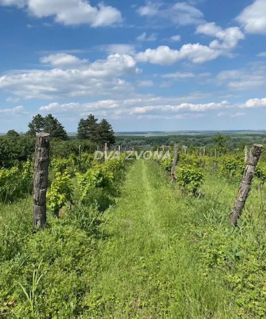 Prodaja, ugostiteljski objekat, 40m², Novi Slankamen, Inđija