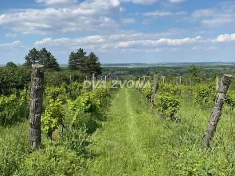 Prodaja, ugostiteljski objekat, 40m², Novi Slankamen, Inđija - image 37