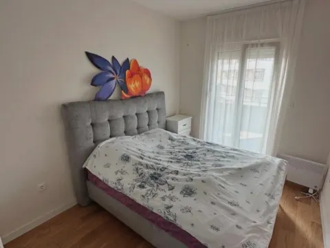 Izdavanje, jednosoban stan, 50m², Central Point, Podgorica - image 4