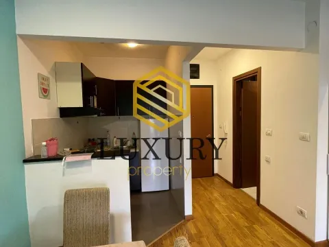 Rent, studio apartment, 30m², City Kvart, Podgorica - image 9