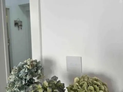 Izdavanje, dvosoban stan, 45m², Stari Grad, Beograd - image 9