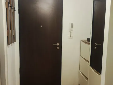 Izdavanje, jednosoban stan, 55m², City Kej, Podgorica - image 7