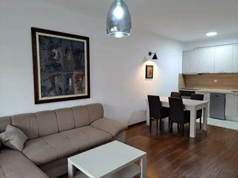 Izdavanje, jednosoban stan, 50m², Master Kvart, Podgorica - image 2