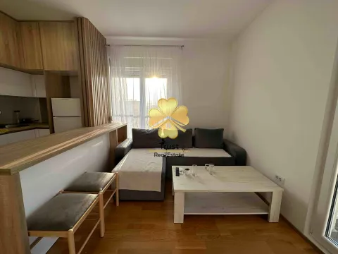 Izdavanje, jednosoban stan, 45m², Stari Aerodrom, Podgorica - image 2