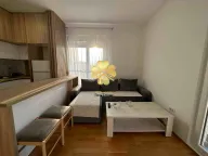Izdavanje, jednosoban stan, 45m², Stari Aerodrom, Podgorica - image 2