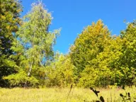 Sale, land lot, 89208m², Padež, Kolašin - image 6