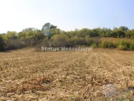 Prodaja, kuća, 97m², Irig, Srbija - image 8