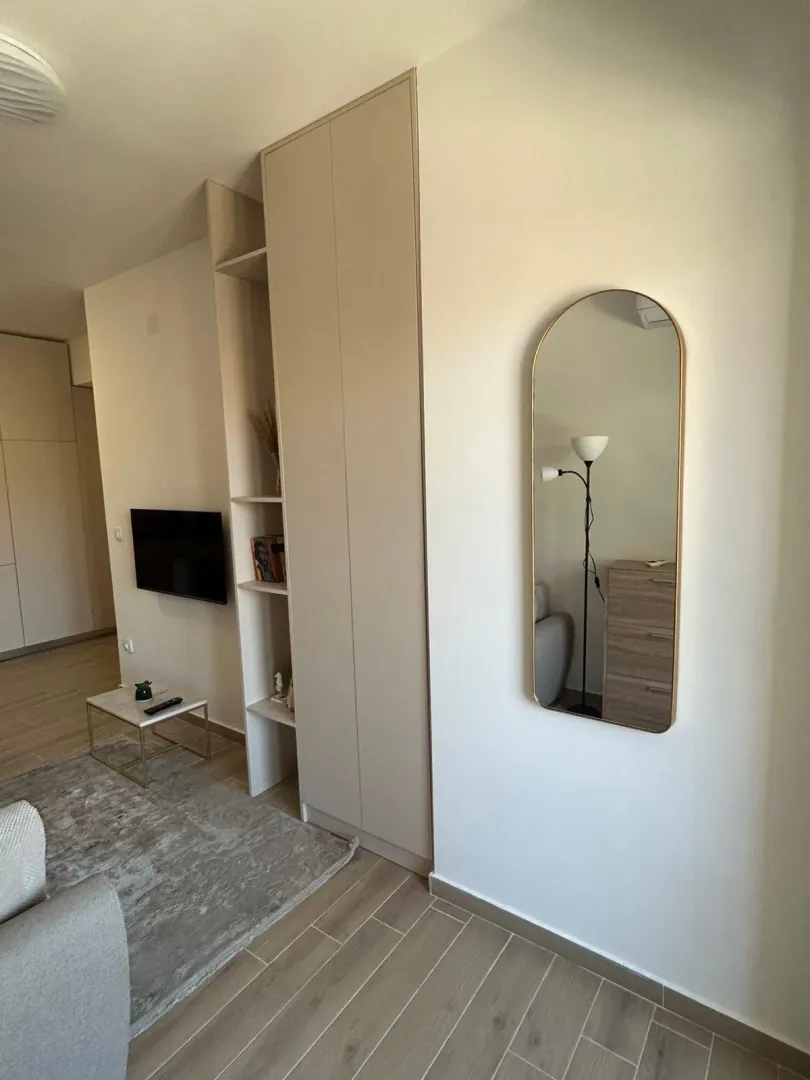 Living room with a built-in wardrobe, television, and a wall mirror.