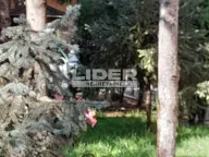 Rent, house, 200m², Zemun Gornji Grad, Zemun Sve Podlokacije - image 10