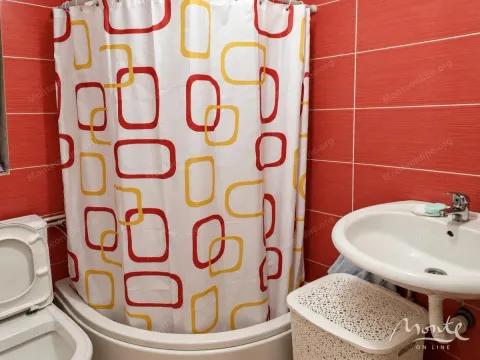 Bathroom with a shower cabin, washbasin, and red wall tiles. - image 8