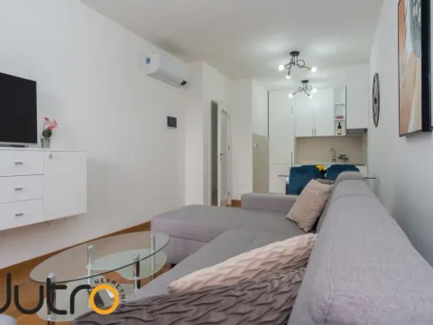 Izdavanje, jednosoban stan, 48m², Tološka šuma, Podgorica - image 9