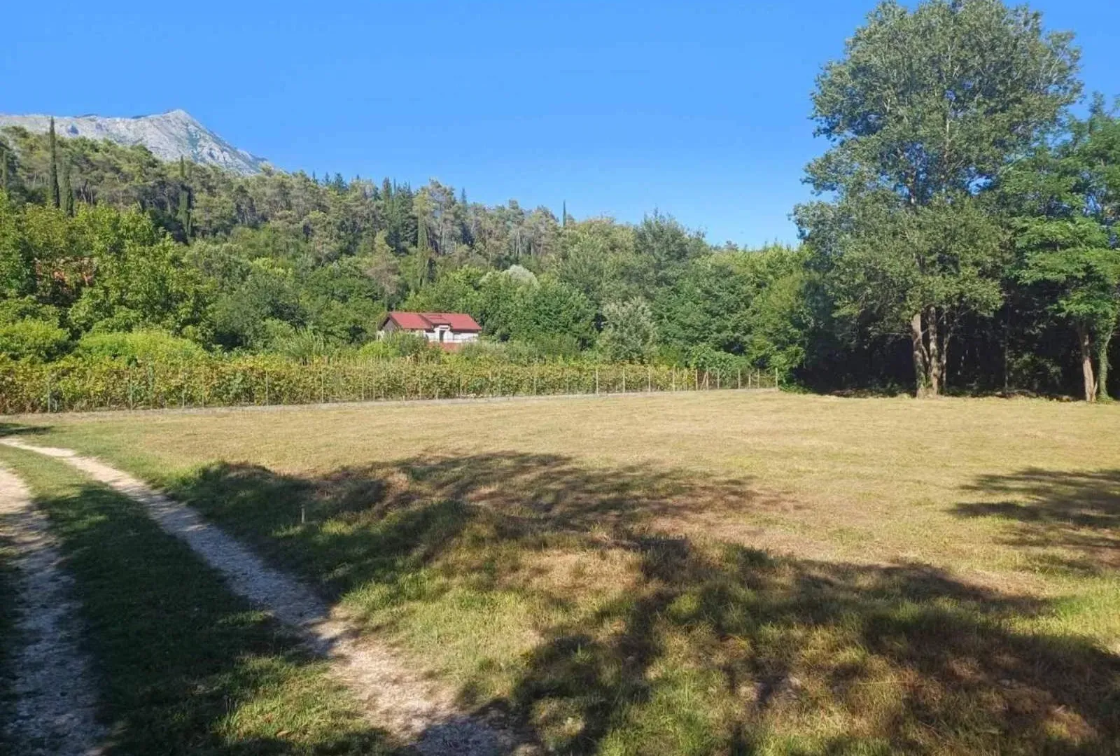 Prodaja, plac, 1167m², Sutorina, Herceg Novi