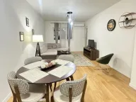 Prodaja, jednosoban stan, 49m², Central Point, Podgorica - image 7