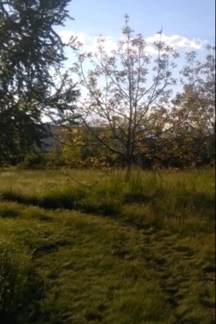 Prodaja, plac, 573m², Centar, Nikšić