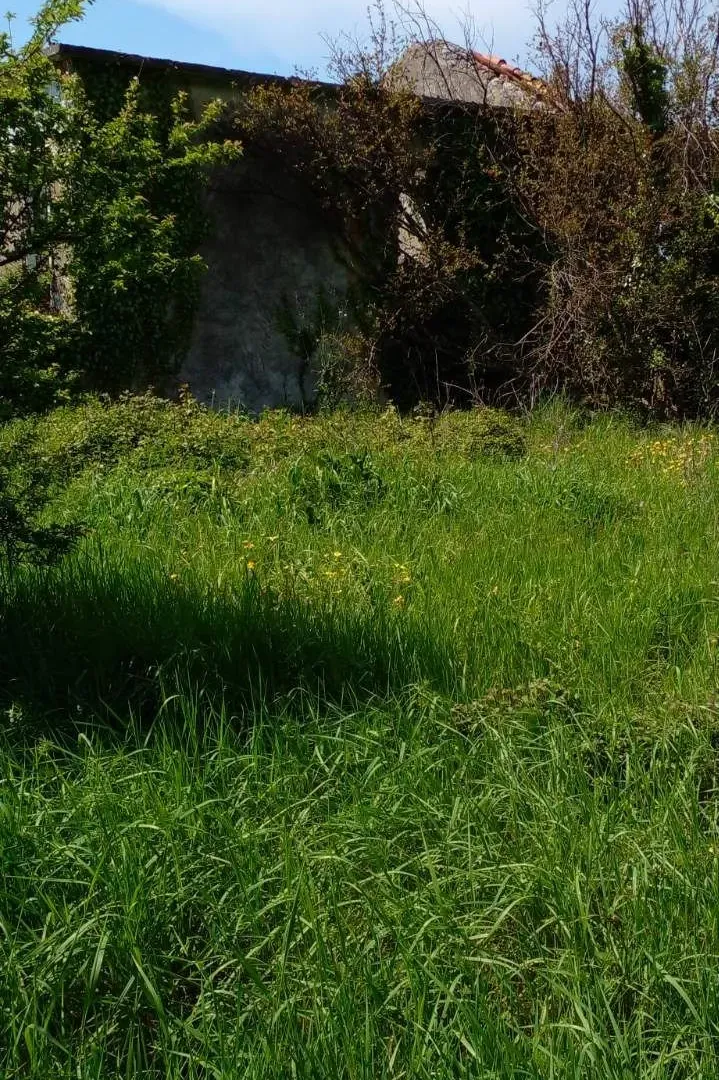 Sale, land lot, 1550m², Zaljevo, Bar