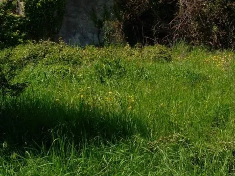 Prodaja, plac, 1550m², Zaljevo, Bar - image 5