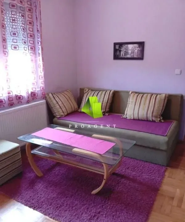 Izdavanje, stan, 26m², Palilula, Niš