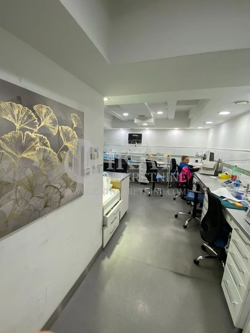 Prodaja, jednosoban stan, 66m², Vračar Hram, Vračar Sve Podlokacije