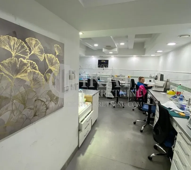 Sale, one bedroom apartment, 66m², Vračar Hram, Vračar Sve Podlokacije