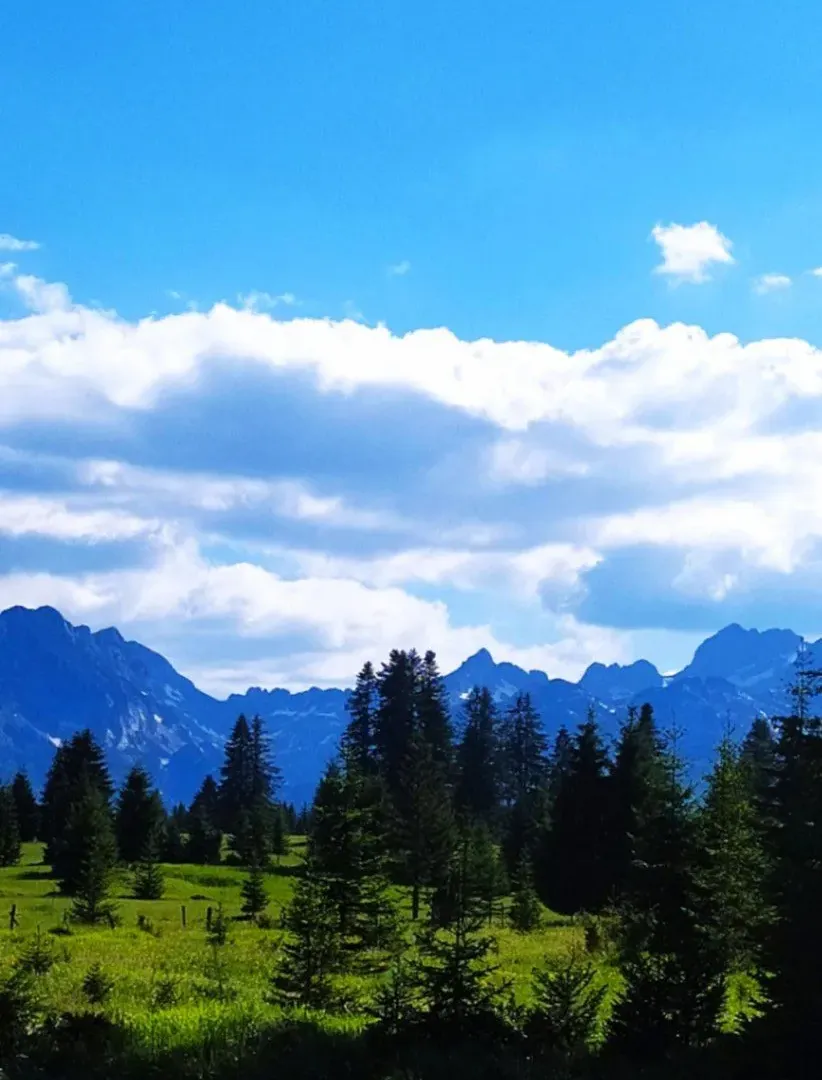 Prodaja, plac, 1891m², Uskoci, Žabljak