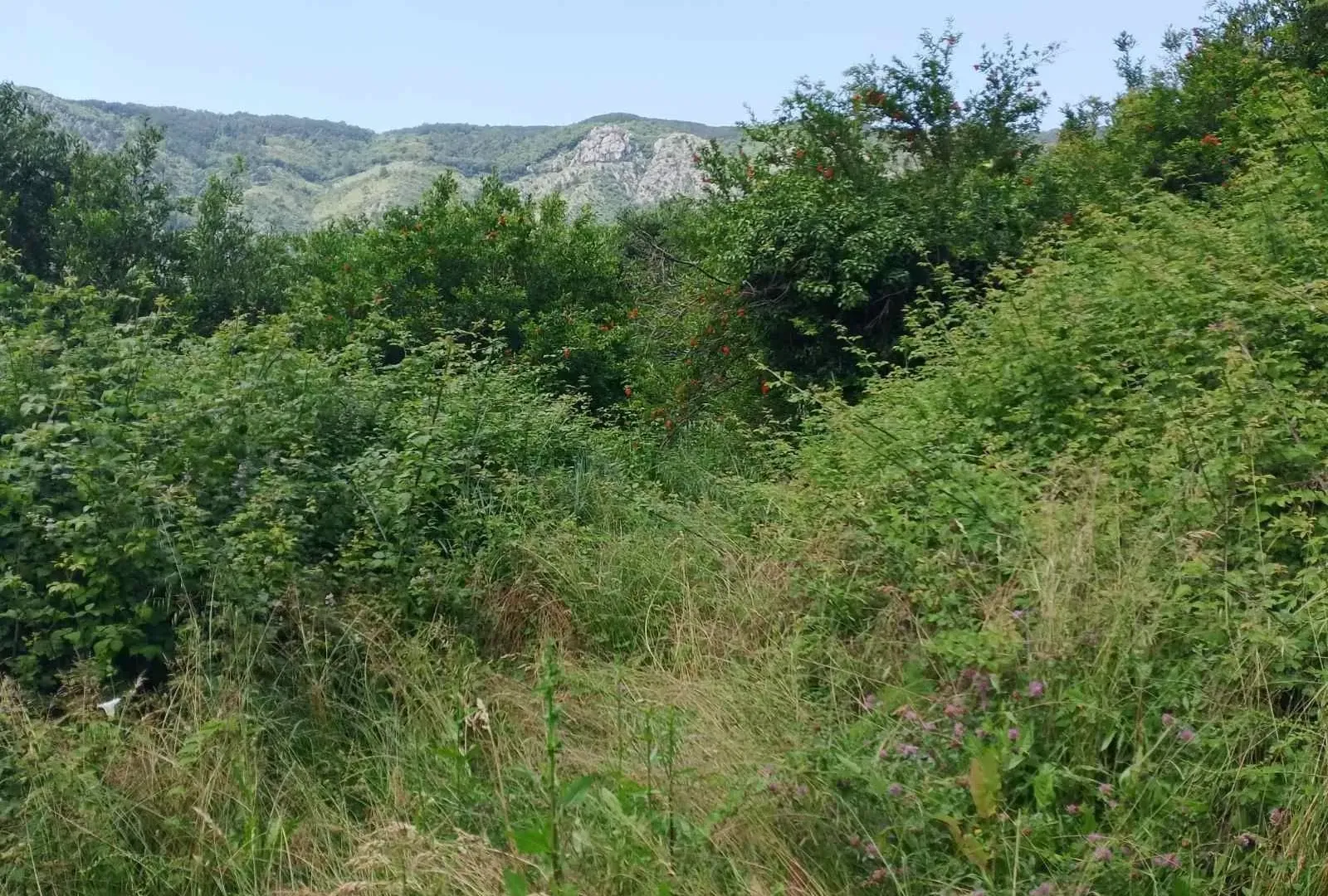 Prodaja, plac, 1748m², Kotor, Crna Gora