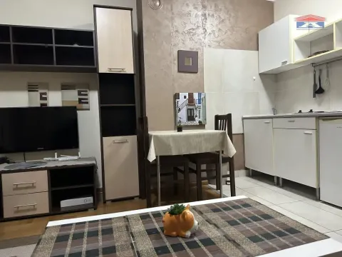 Rent, studio apartment, 28m², Cara Dušana, Novi Sad Sve Podlokacije - image 6