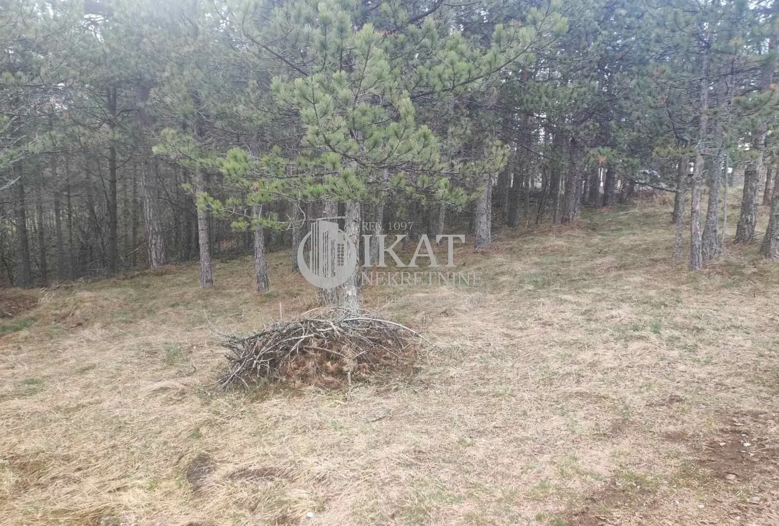 Prodaja, plac, Divčibare, Valjevo