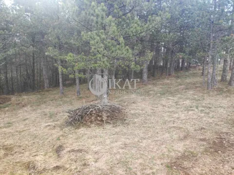 Sale, land lot, Divčibare, Valjevo - image 3