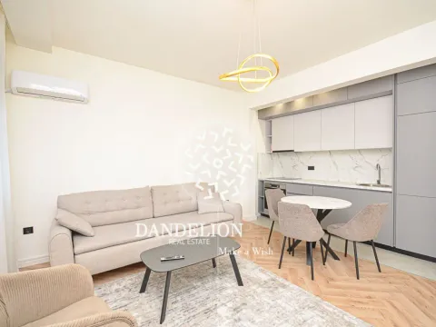 Izdavanje, jednosoban stan, 60m², Stari Aerodrom, Podgorica - image 15