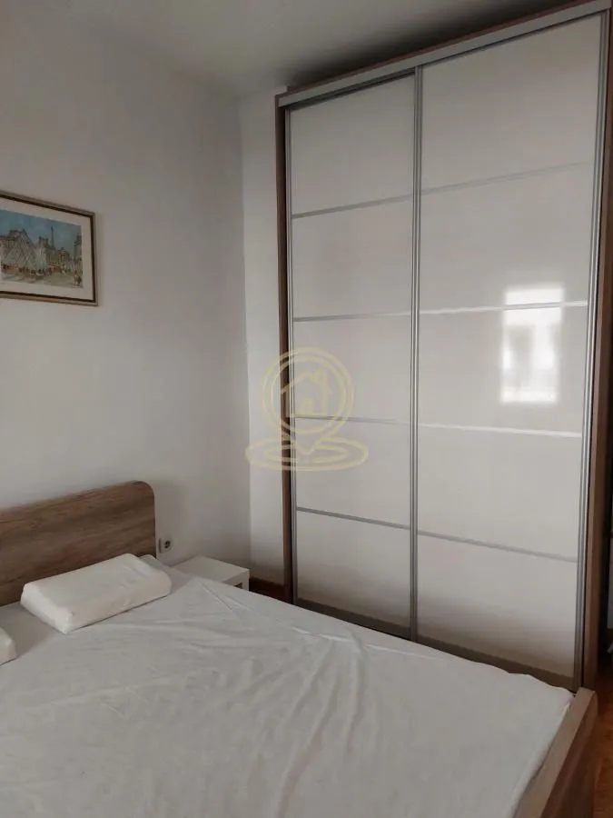 Izdavanje, dvosoban stan, 46m², Centar Sve Podlokacije, Beograd